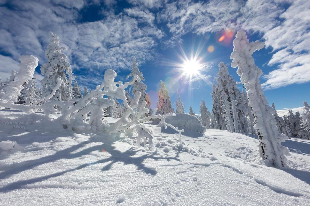 Domek 4Seasons Karpacz Z Prywatna Sauna I Kominkiem Екстер'єр фото